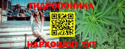 каннабис Кингисепп