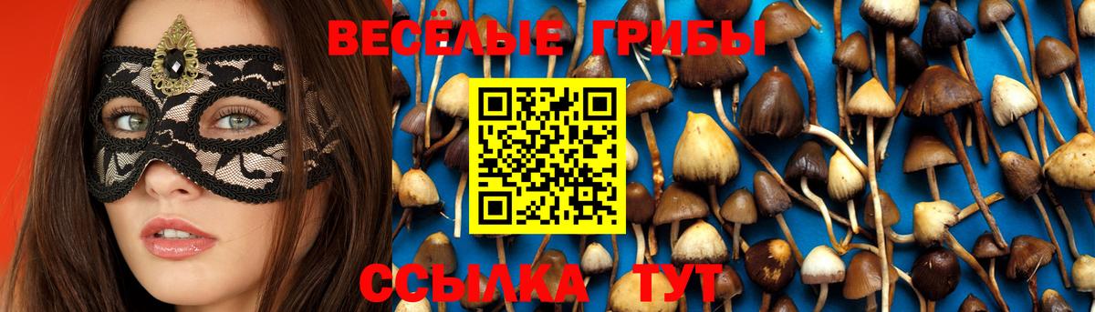 Галлюциногенные грибы мухоморы  Вход с VPN  закладки  Галлюциногенные грибы мухоморы  Кострома 